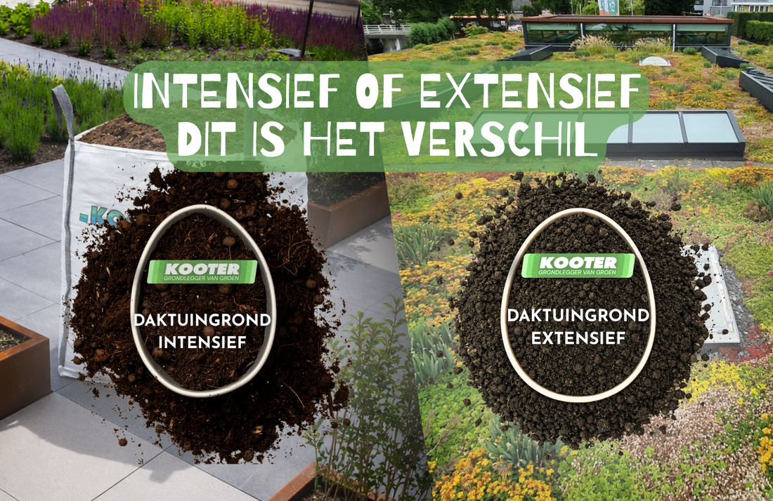 Intensief of extensief daktuin substraat: dit is het verschil?