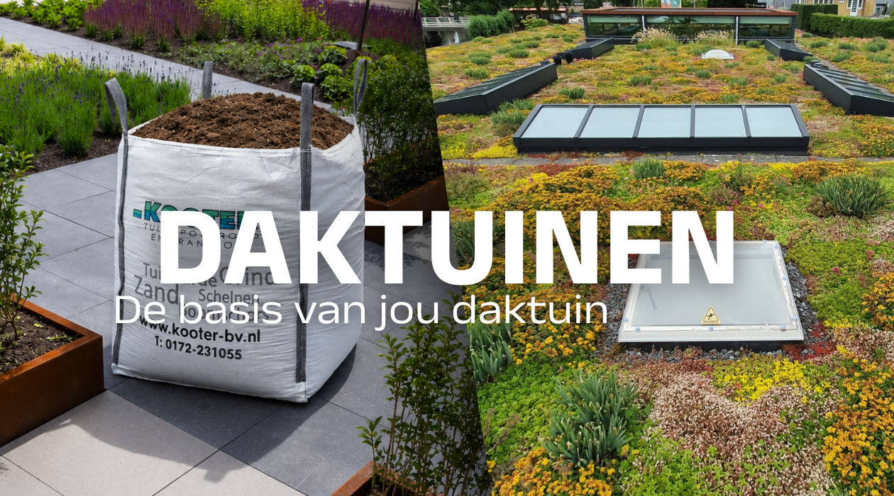 Daktuinen