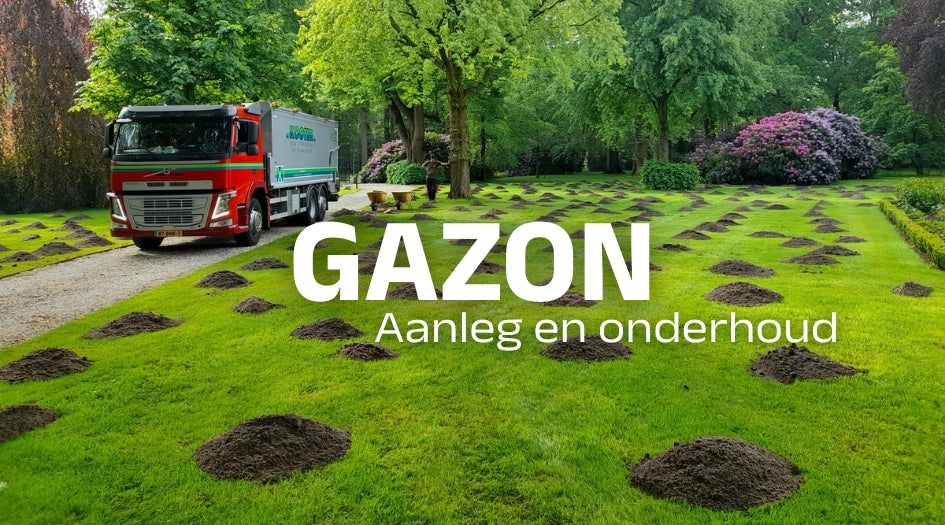 Gazon
