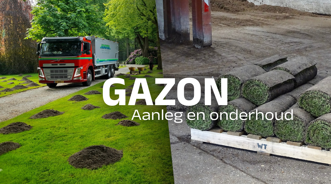 Gazon