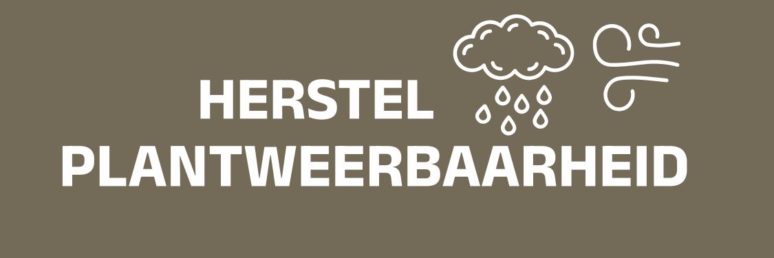 Onderhoudsmeststoffen