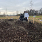 Mulch
