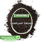 Aanplant grond