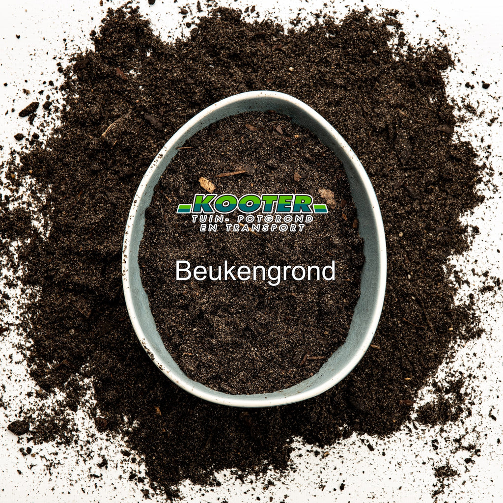 Beukengrond