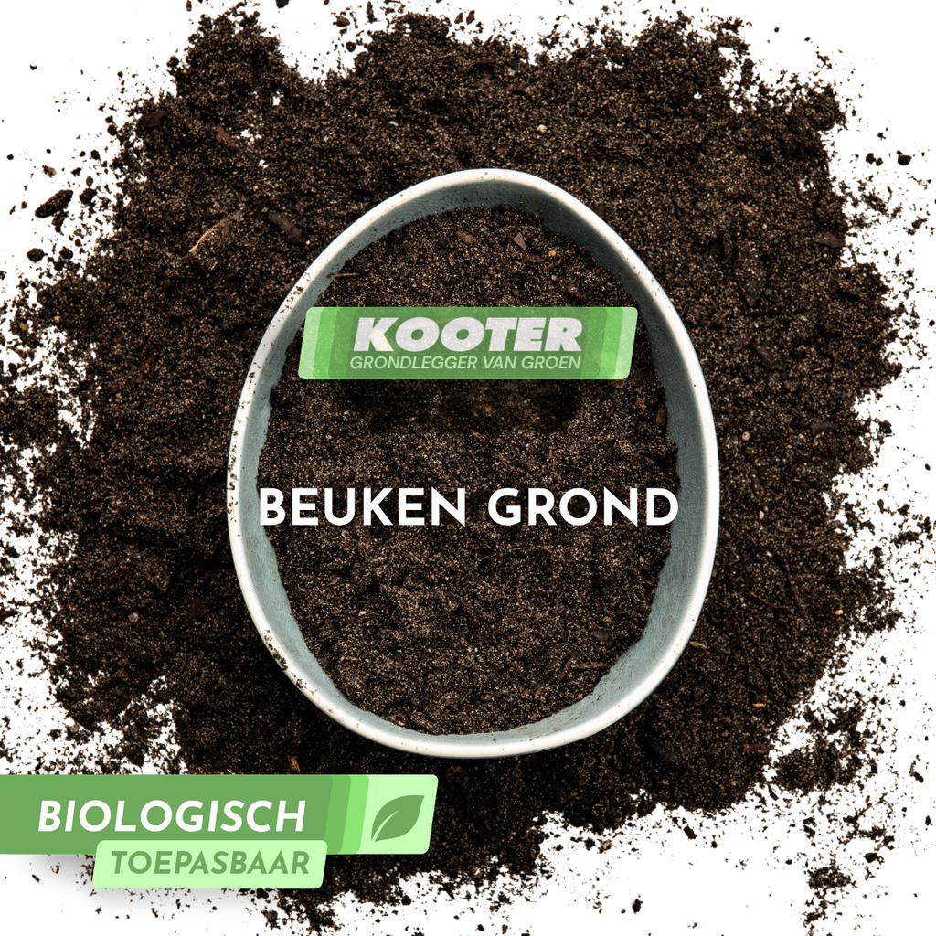 Beukengrond