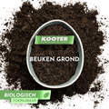 Beukengrond