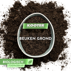 Beukengrond
