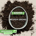 Beukengrond