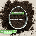 Beukengrond