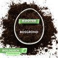 Bosgrond