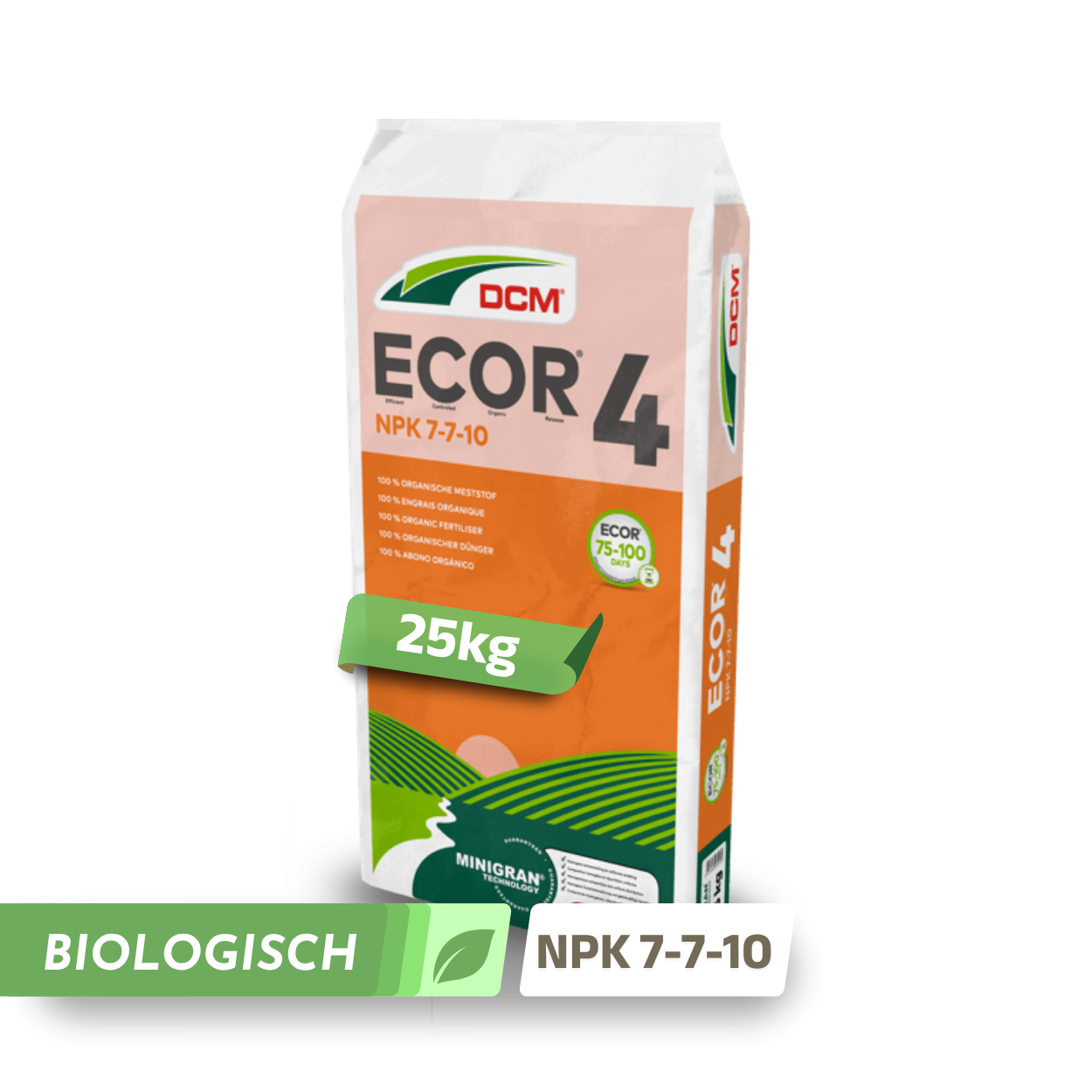 DCM Ecor 4