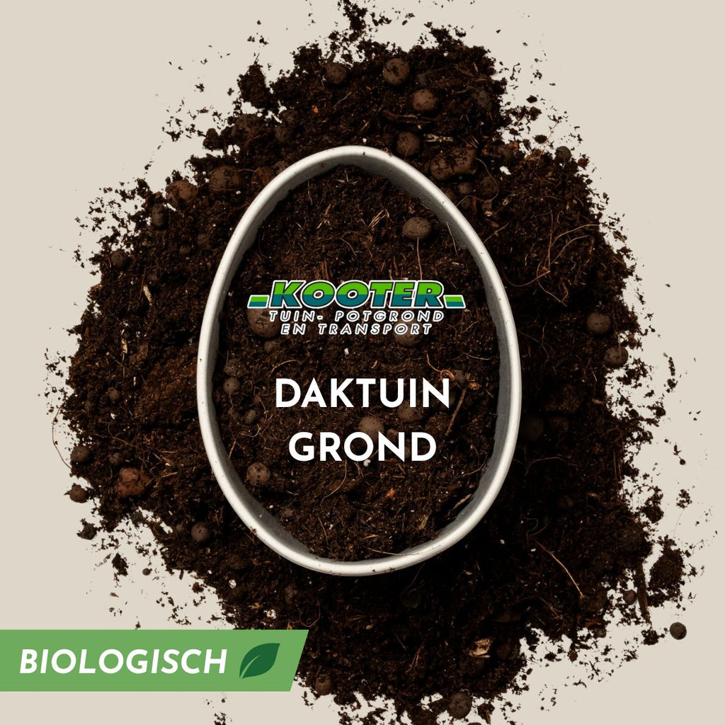 Daktuin grond