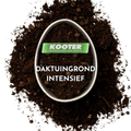 Daktuin grond Intensief