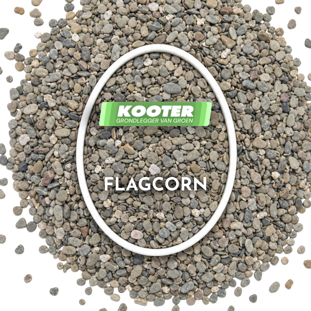 Flagcorn 8/16 big bag