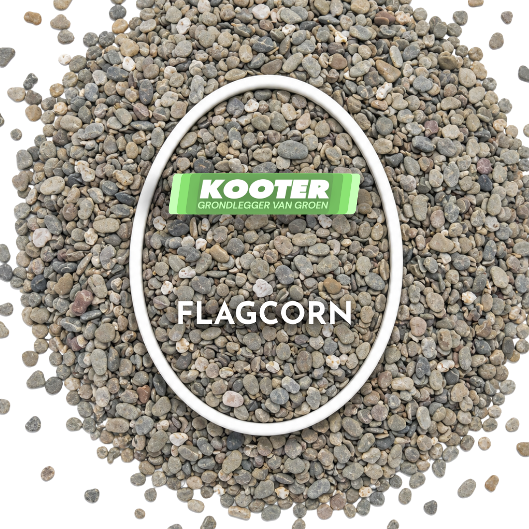 Flagcorn 8/16 big bag