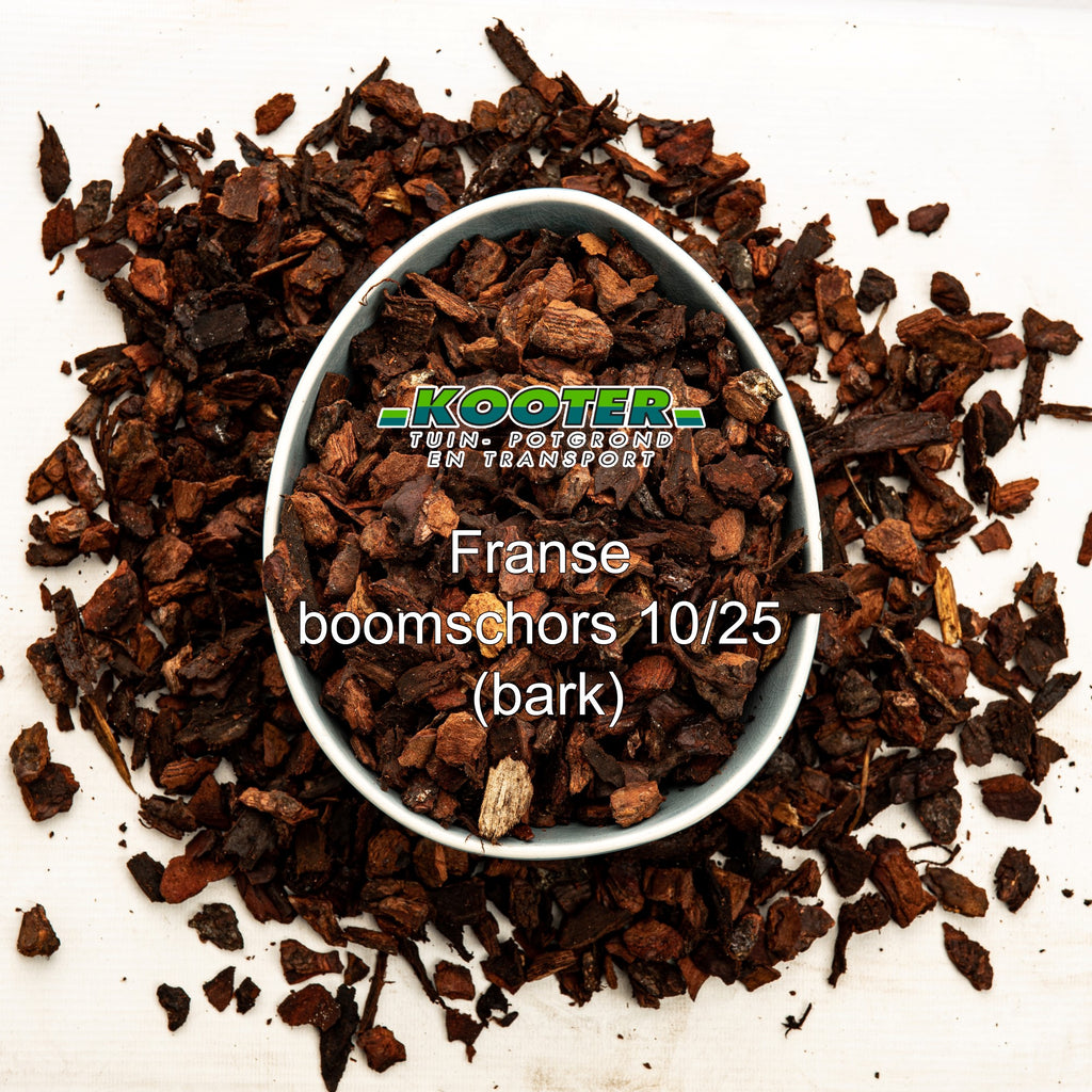 Franse Boomschors (10/25)