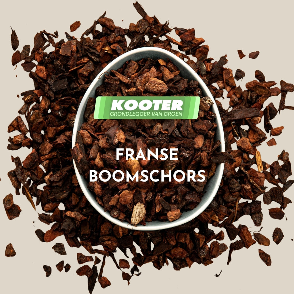 Franse Boomschors (10/25)