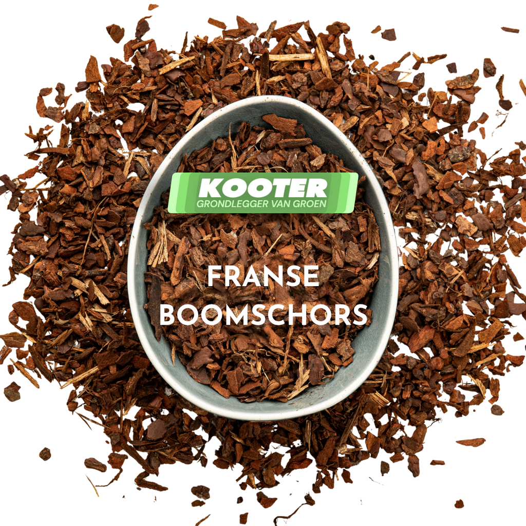 Franse Boomschors (5/15)