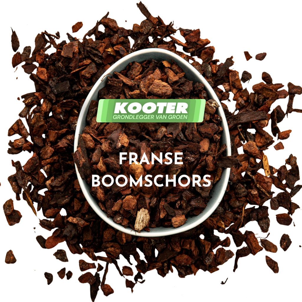 Franse Boomschors (10/25)