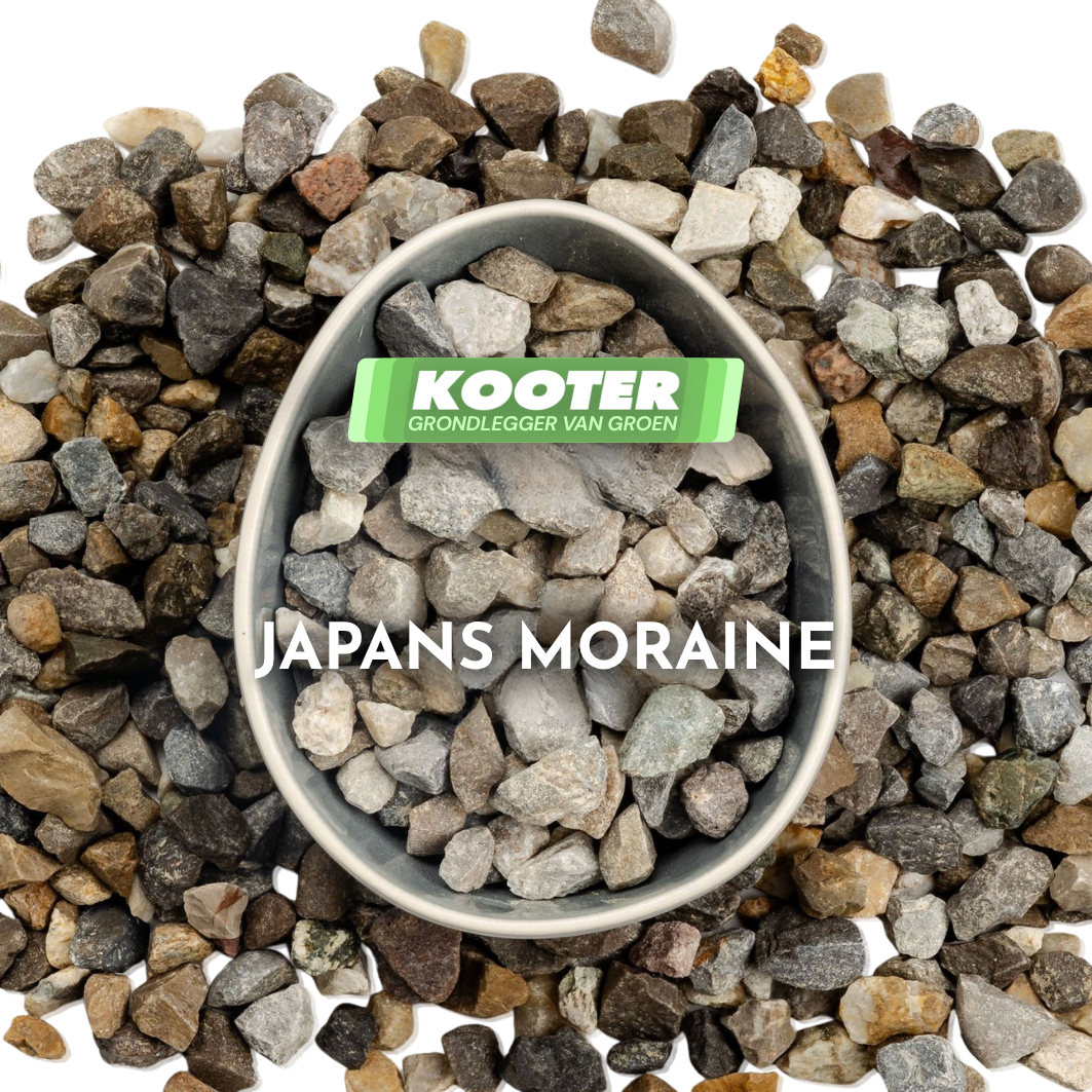 Moraine Split 8/16 (Japans)
