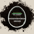 Rhododendron Grond