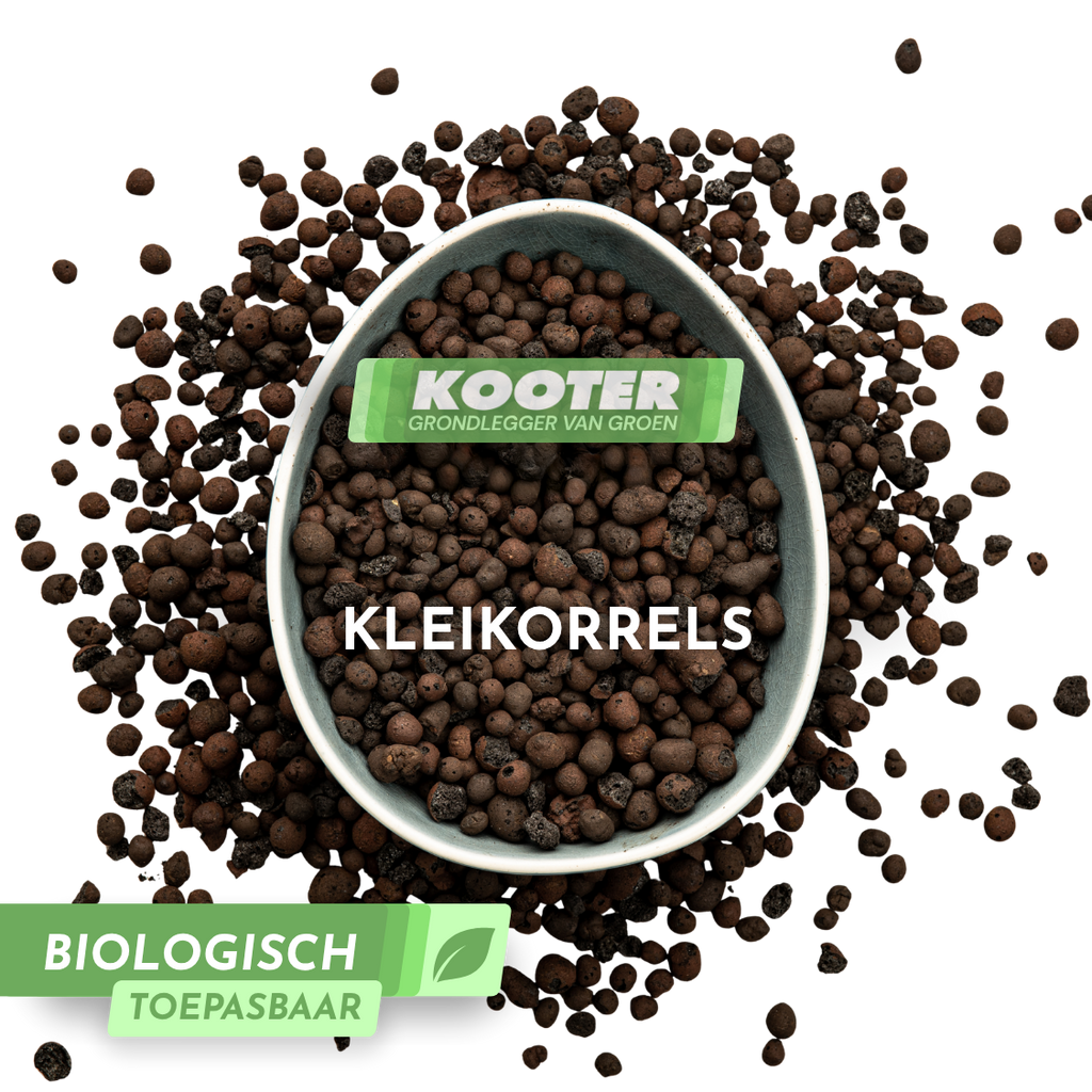 Kleikorrels (argex)