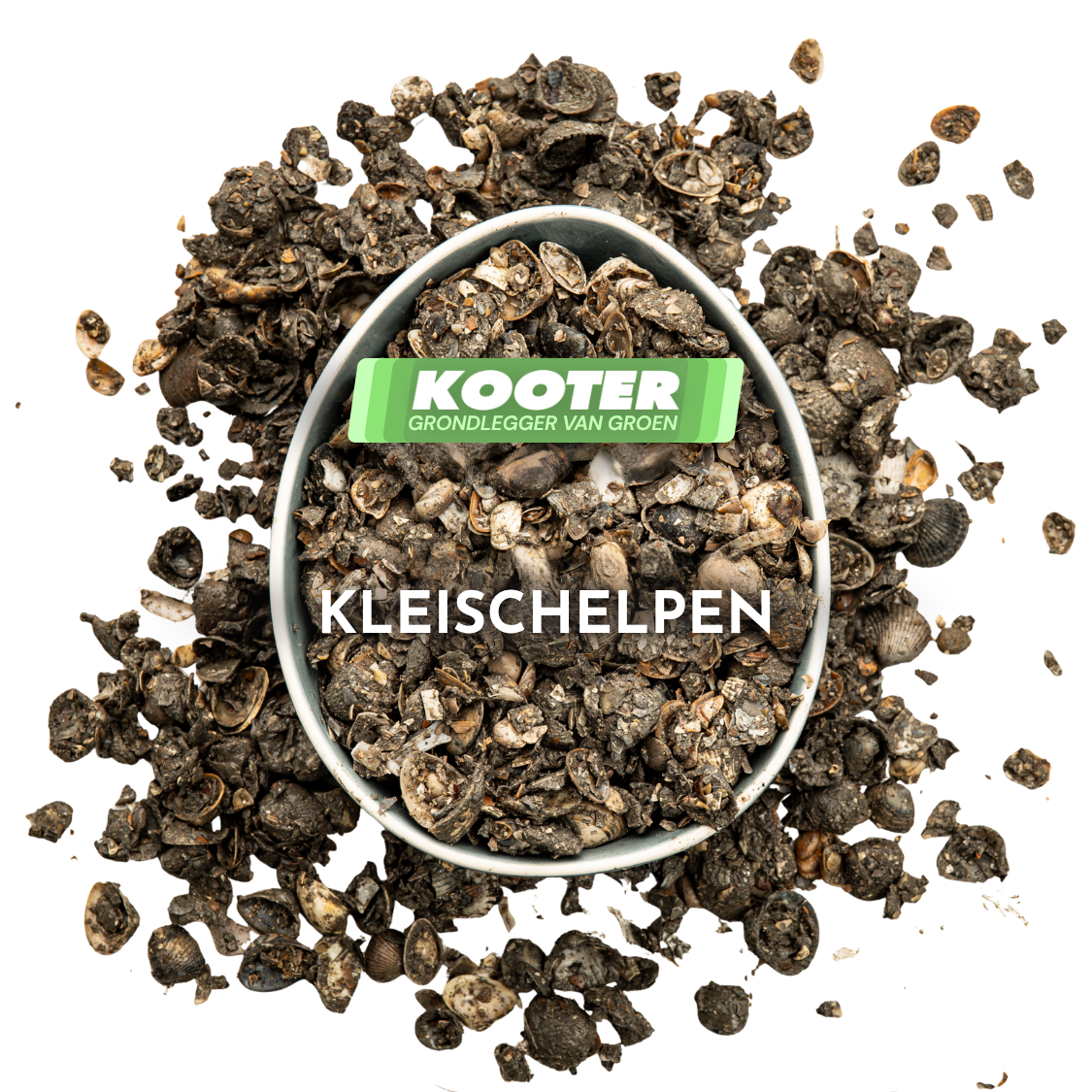 Klei schelpen