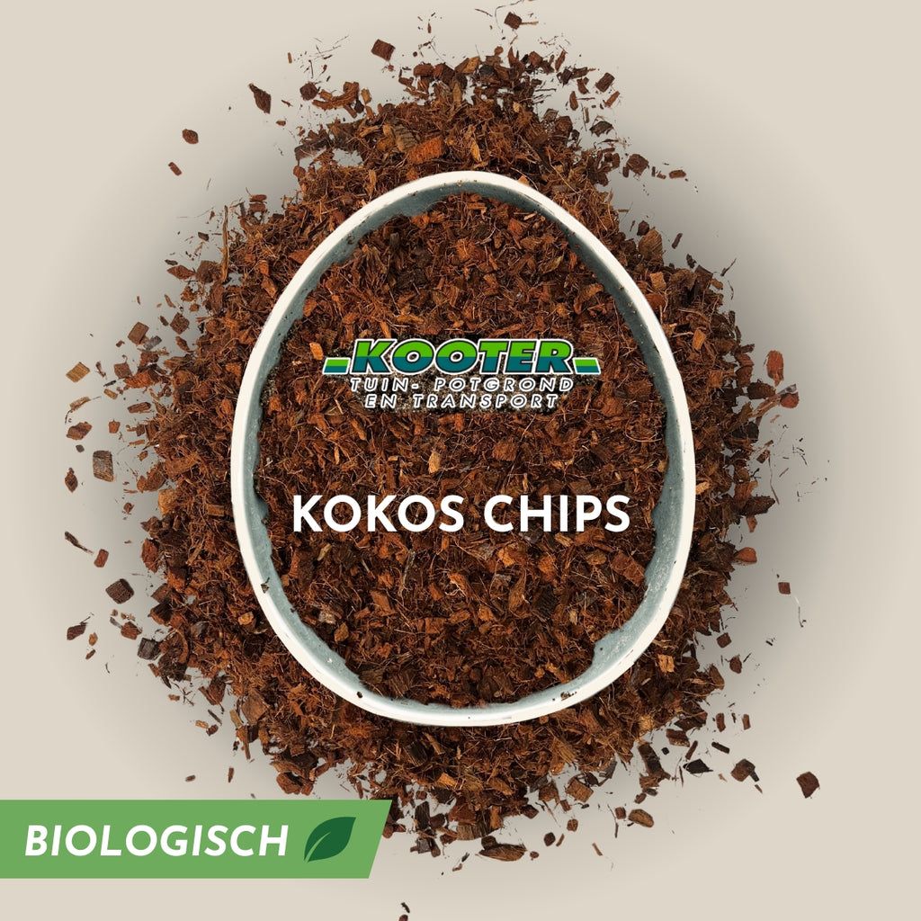 Kokos chips