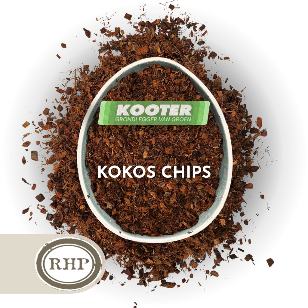 Kokos chips