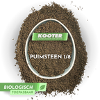 Puimsteen