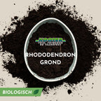 Rhododendron Grond