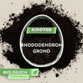 Rhododendron Grond
