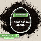 Rhododendron Grond