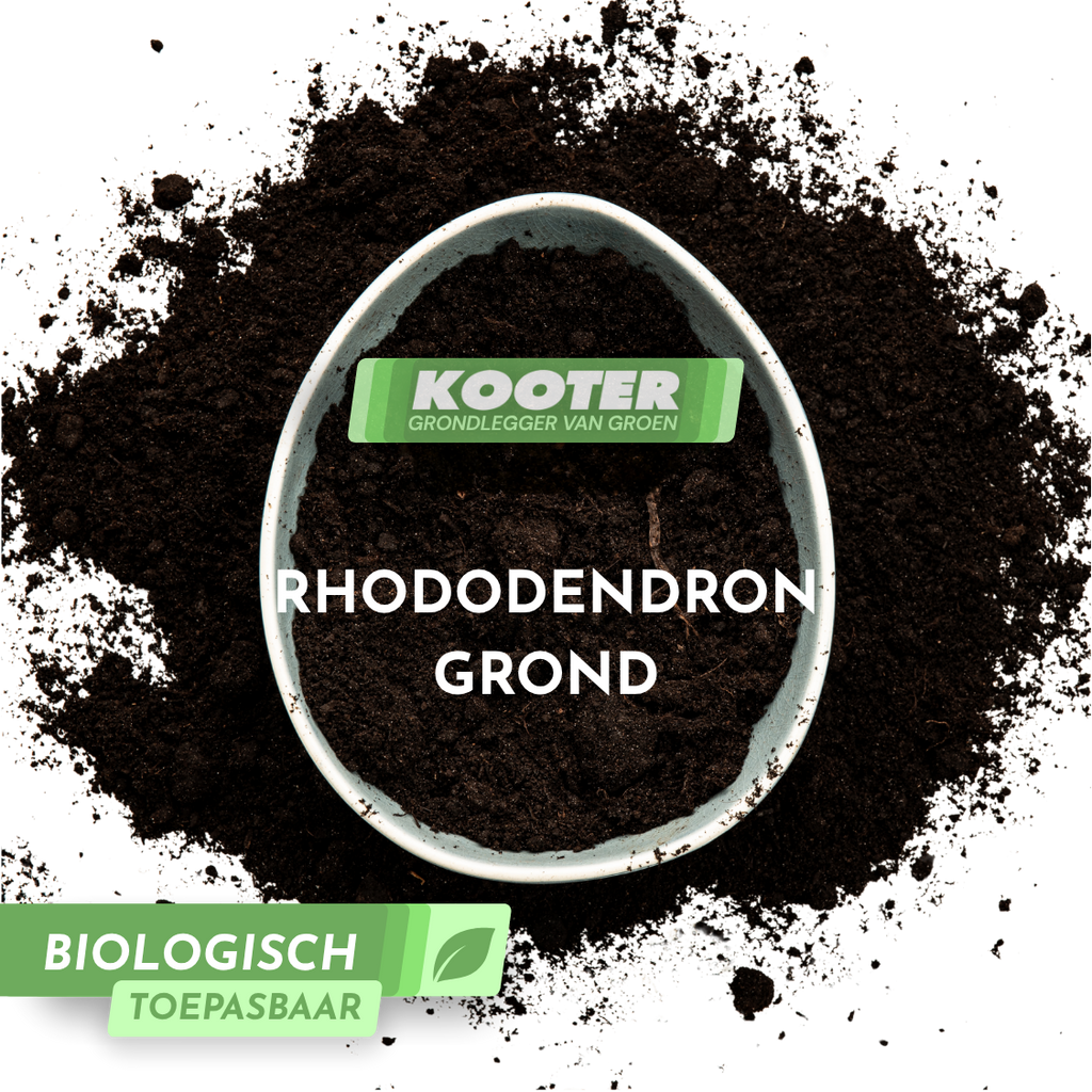 Rhododendron Grond