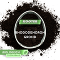 Rhododendron Grond