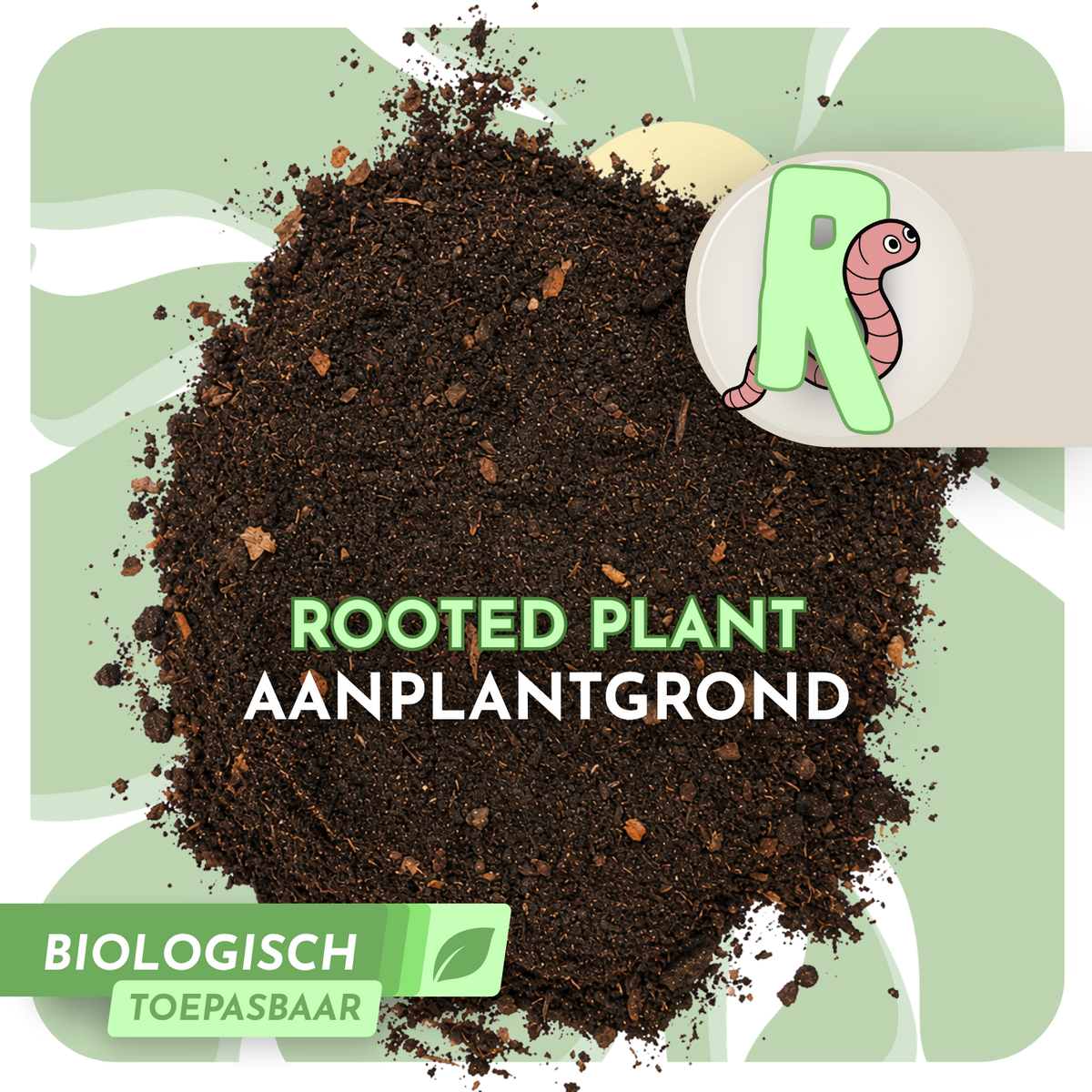 Aanplantgrond - Rooted Plant