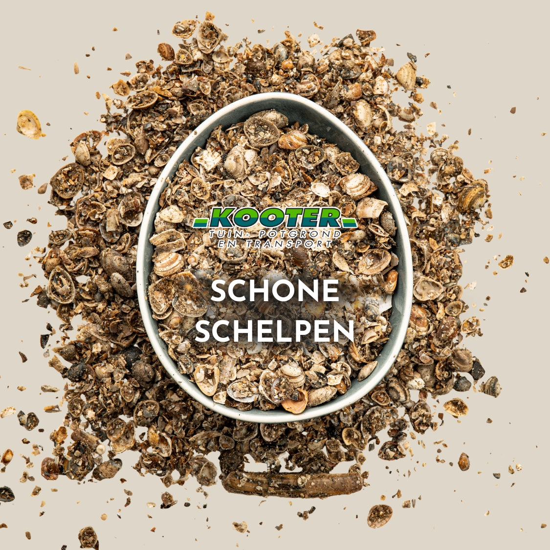 Schone schelpen