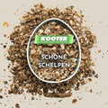 Schone schelpen