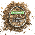 Schone schelpen