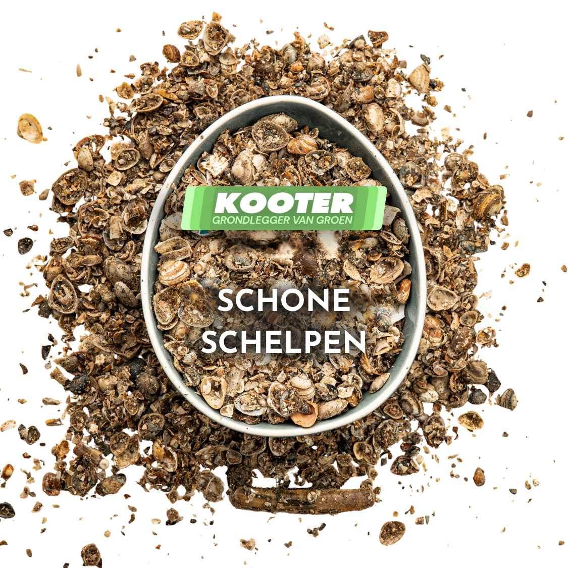 Schone schelpen