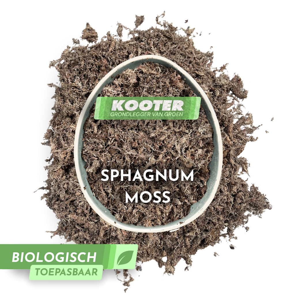 Sphagnum Moss
