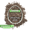 Sphagnum Moss