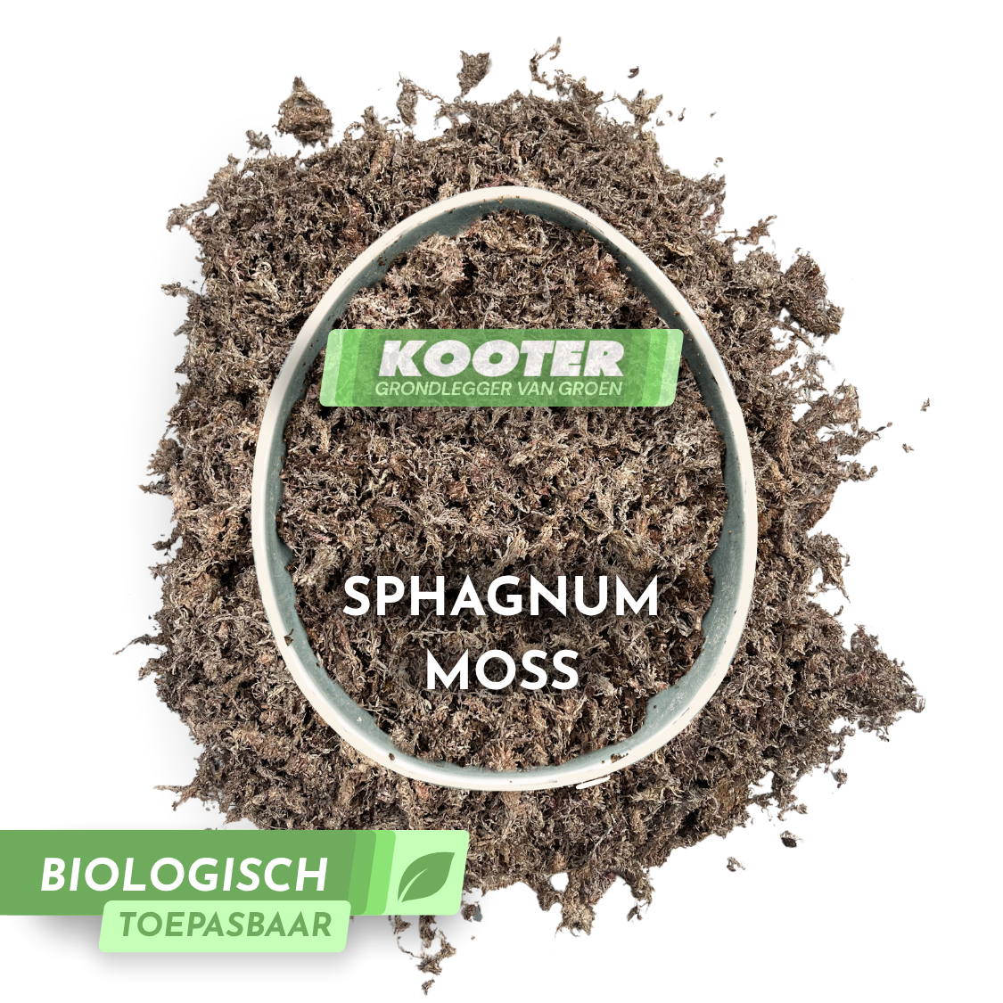 Sphagnum Moss