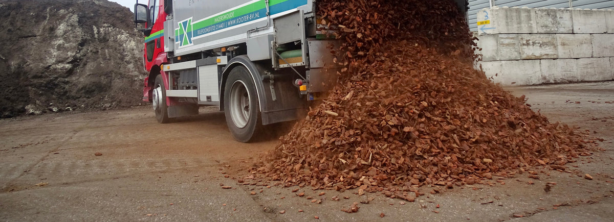 IJslandse bims – Kooter Handel en Transport