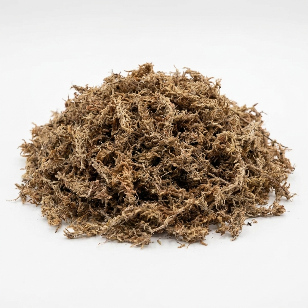 Sphagnum Moss