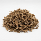 Sphagnum Moss