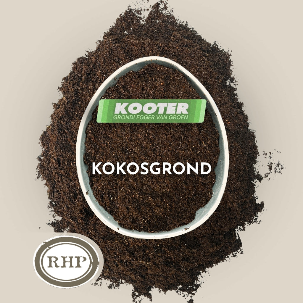 Kokos peat